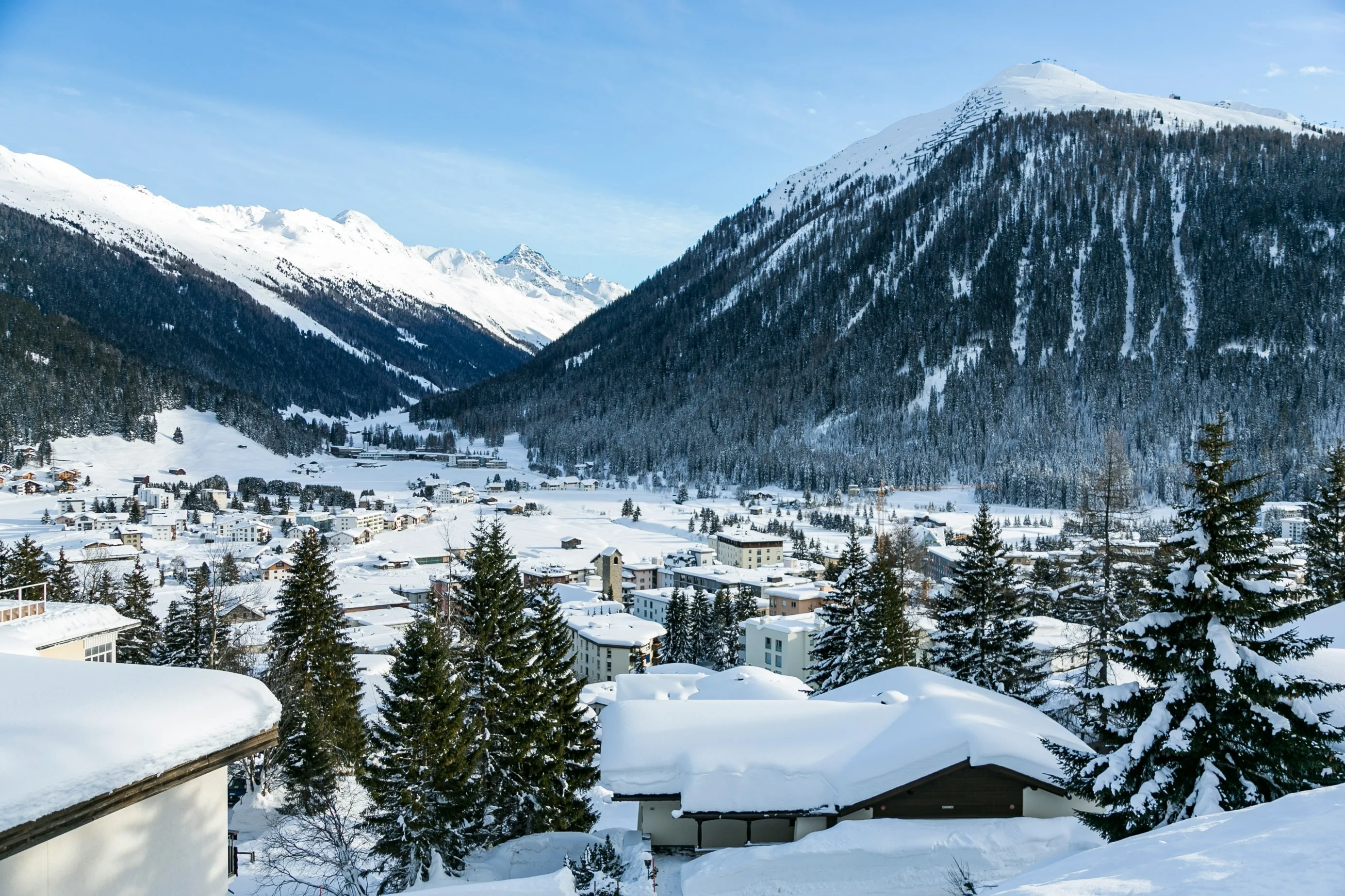 Elite Alpine Travel: Why a Private Zurich to Davos Limousine Is the Best Way to Start Your Swiss Adventure