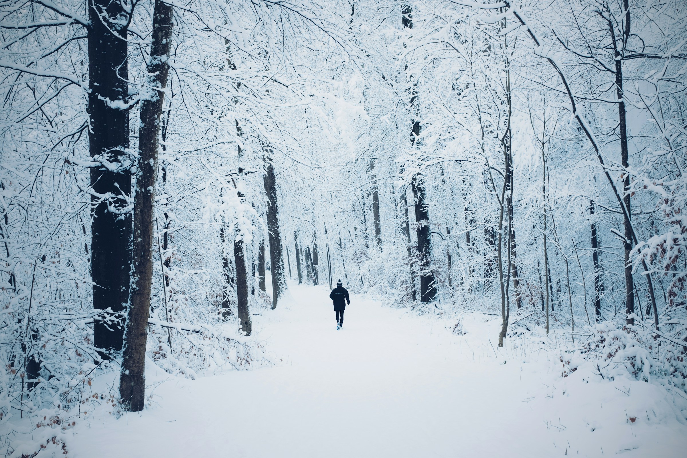 Your  Zurich Winter Festival Taxi Transfer