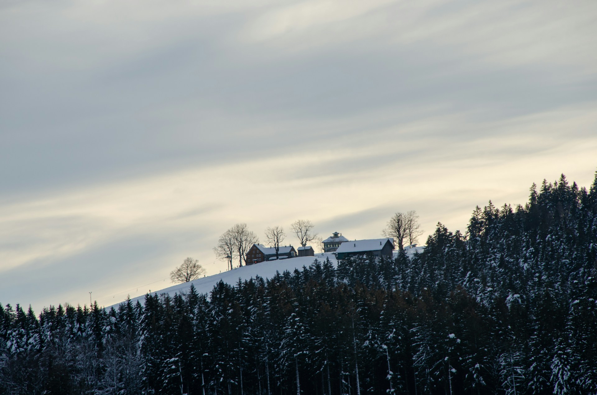 Swiss Alps Day Trip From Zurich: Explore The Alpine Magic